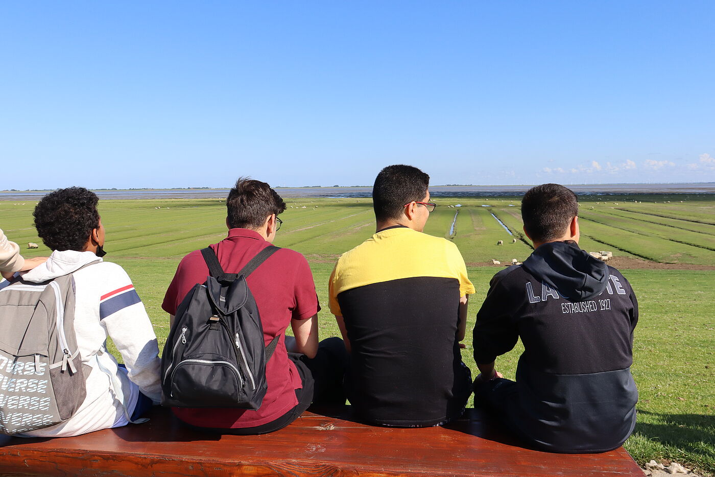 Vier junge Männer blicken aufs Wattenmeer