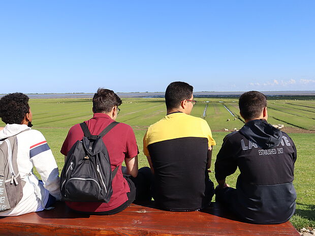Vier junge Männer blicken aufs Wattenmeer